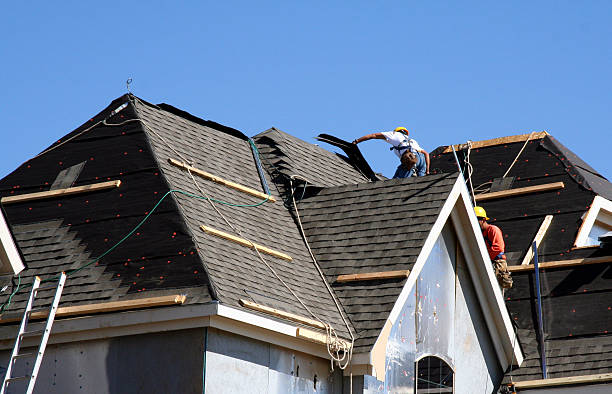 Best Metal Roofing Contractor  in Richmond, IL