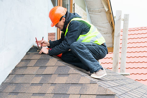 Best Flat Roof Repair Services  in Richmond, IL